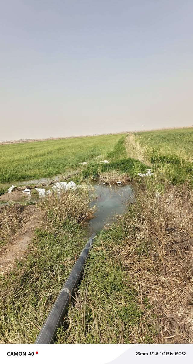 ✅🏝🏨للبيع أرض بمساحة 15 دونم في موقع متميز وهادئ
📍 الموقع: جسر رعود منطقة العيساويه 
​📜 :طابو زراعي جميع الخدمات متوفر بل كامل 
​💰 السعر: الدونم. الواحد 7ونص وبي مجال  
​🚜 المميزات:ثاني يوم فتح بيان بيان 
​خدمات كاملة (كهرباء، ماء سقي).🏝🏝
​قريبه من مدرسة.تحويل بسم مباشر 
​تبعد 20دقيقة عن السوق وبنات الحسن.
​👌 الضمان: شرطنا الأساسي (ما تدفع ولا فلس إلا بعد فتح البيان في دائرة الطابو باسمك).
​☎✅ للاستفسار والتواصل(اتصال)***********(واتساب)
