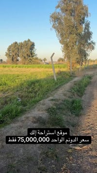 دوانم استثماريه داخل منطقة  #الدورة( سعر الدونم الواحد 75 مليون ) 0781...