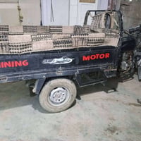 ستوتة • نمر شرط • مابيها عيب