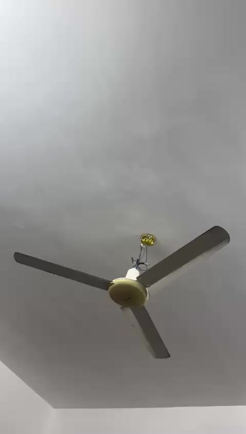 مروحه سقف نوع سانيو اصلي قديم
مروحه سقف نوع سانيو اصلي قديم 
شغاله سعر 35 الف
***********
