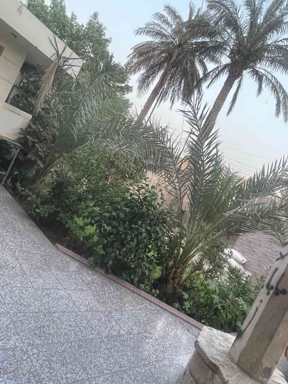 السلام عليكم
بغداد البلديات ٩ نيسان محله ٧٣٤ 

بيت للبيع  

مساحه ٣٩٩ متر   ٣ طابق 

غرف نوم ١٠.  منها ٤ سويت 

استقبال هول مطبخ حار وبارد كراج يتسع ٣ سيارات وحديقه 

ونريد انبيع وبسعر مناسب. 

سعر المتر مليونين  واذا مراوس  نفس المساحه بس بلديات عادي 

واحنا برسم الخدمه

***********
