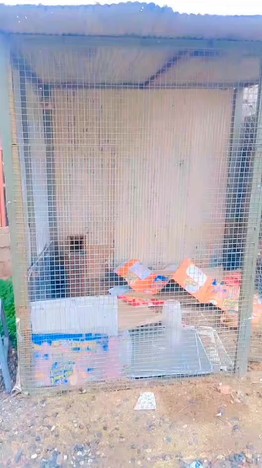 السعر150مجال بصيط


**إذا كنت صاحب هذا الإعلان وتريد حذفه لأي سبب، رجاءا أرسل رسالة إلى الدعم الفني**