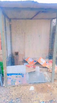 مجال • بسيط