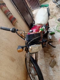 ستيفان • بدون أوراق • بعقوبه