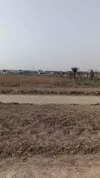 الديوانية • ١٩ • قرب السوك