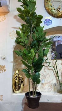 شجرة • متر ونص • سيقان إضافية