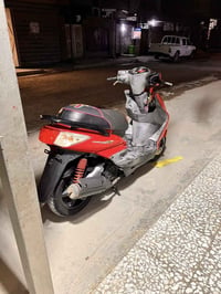سكنس فحل للبيع أو مراوس بلاديه مكينه مامفتوحه ختم واحد ويه المكينه مكا...