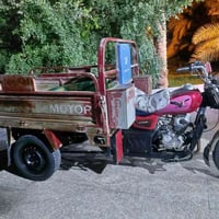 ستوته • اوراق اصلية • عين التمر