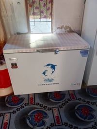 مجمدة • شغالة • للبيع