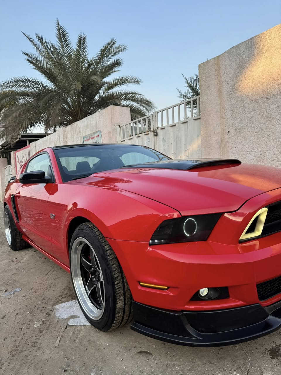 السلام عليكم
صل على محمد
موستنك 2014 من انضف الموستنكات بموديلهه وبلونهه 
سياره صارلهه 5 اسنين على ايدي ماشيه 89 
السياره فقط قطعه وحده صبغ كير محرك صدر امامي خلفي السياره جاهزه من كلشي السياره احله من الصور 
السياره على وضع الوكاله 
***********
