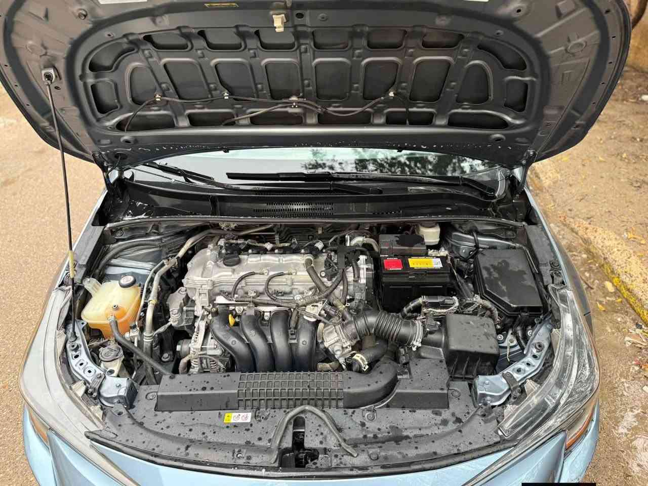 السلام علیکم تيوتا كورلا LE موديل 2021 بغداد 
حادث تبديل بابين الايمن فقط نفس اللون

حجر صالنصه مكفول رادار شغال

دوشمه كشنات والارضيه في النواب

محرك 1800 المرغوب

سیاره ماشيه 60 الف جدیده مال بیت

السعر 100 وبيه مجال قليل جدا

***********للاستفسار

متواجد 24 ساعه
