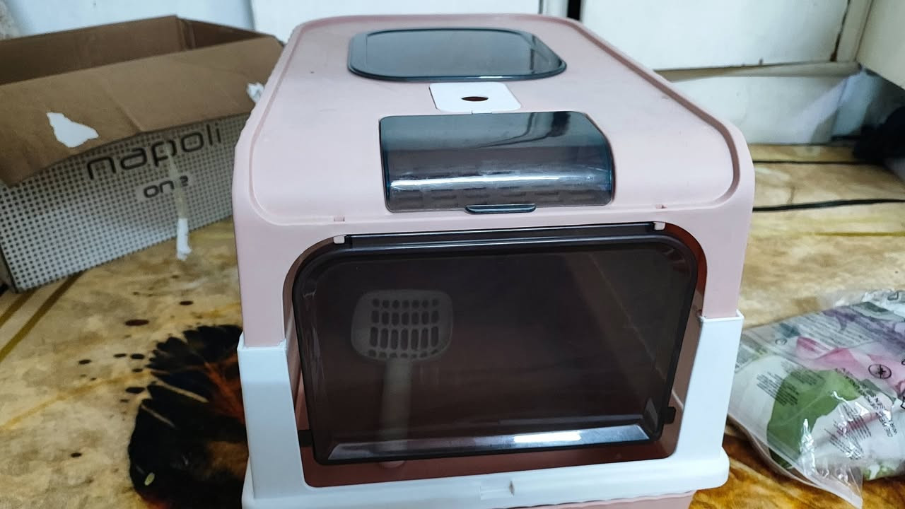 قيم وبل عافية
مكاني بغداد حي العامل 
 *********** واتساب ققط
