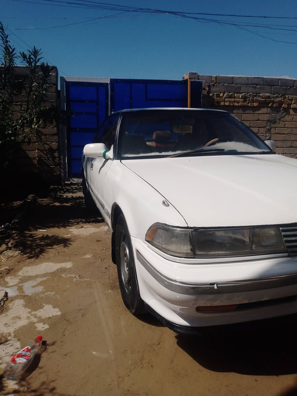 سياره مارك للبيع مديل 90 مشروع وطني سنويه صاقطه تحويل ثاني يوم السياره مكينه كايمه الكهربائيتها كلها شغاله حتى التبريد مكانها سوق الشيوخ كرمة بني سعيد
السعر 28 وبيها مجال


**إذا كنت صاحب هذا الإعلان وتريد حذفه لأي سبب، رجاءا أرسل رسالة إلى الدعم الفني**