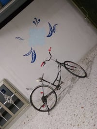للبيع باسكل لوك 07707557681