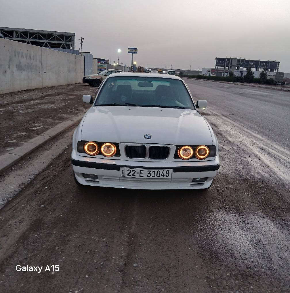 1995///***********///520عاد///سحر49 أربيل, العراق
