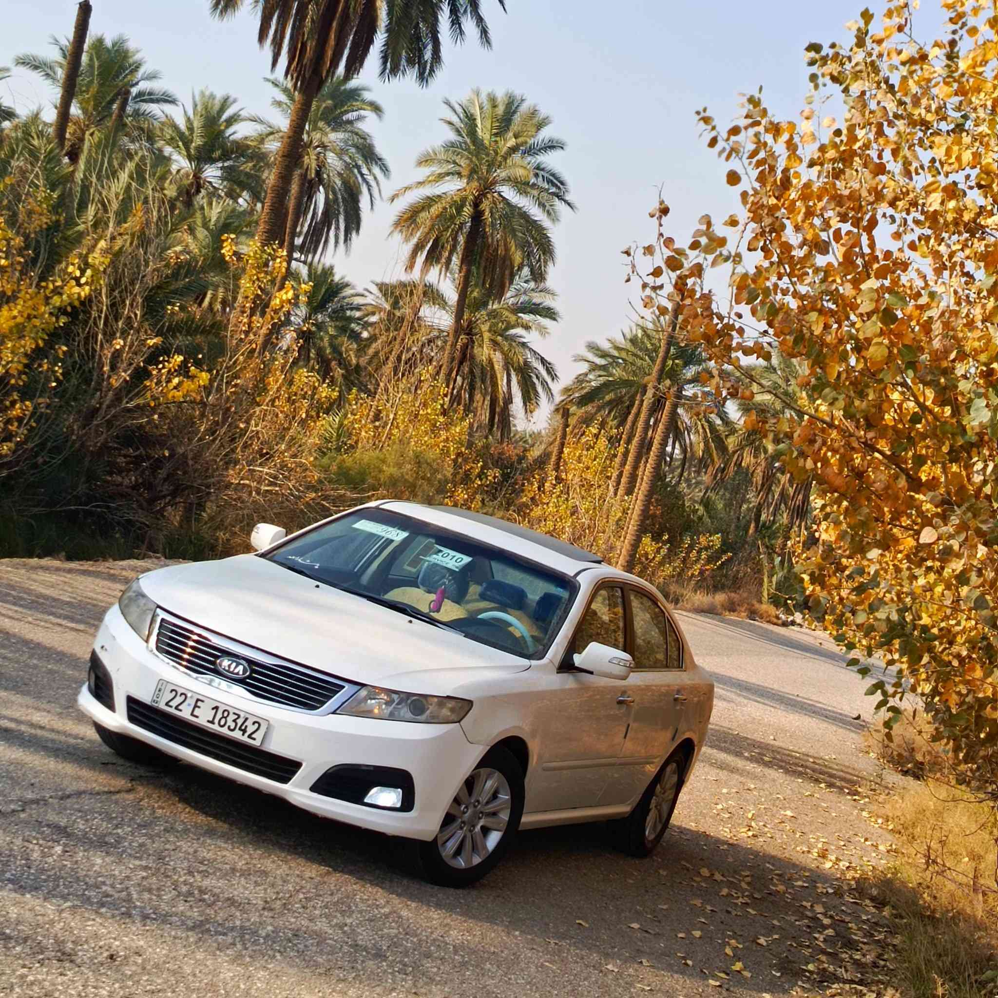 السلام عليكم 
كيا اوبتما 2010فول موصفات رقم اربيل تحويل وكاله ثاني يؤم 
مكينه وكير وحداديه وتخم تاير خير من الله 
بيها 5قطع صبغ بدون ضربه بس رش وطخات 
سياره جاهزه هزه ورقم وسنويه قبل سبؤع سؤيهن راعيها عربي جيراني  مكاني بابل مسيب السعر 110
***********
