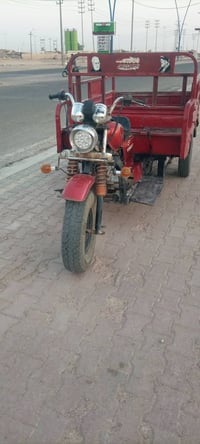 ٢٠١٢ • اوراق كاملة • فطر بالشاصي