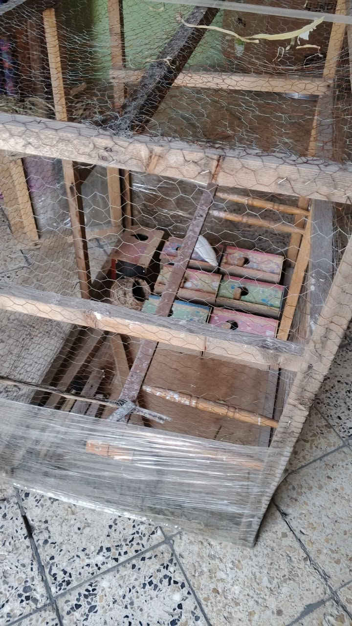 السلام عليكم
قفص للبيع الارتفاع 90االطول 80العرض 60 وياه 8بقالات مال طيور حب  شوف واقتنع  يله تجي السعر 40وبيه مجال قليل هاذا رقمي ***********يوجد واتساب المكان حله قرب جسر نادر Singapore
