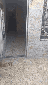 الشعب الزراعيه • ٧٠م • غرفتين