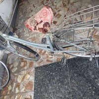 باسكلين • ٢٦ بوصة • ٢٧ بوصة