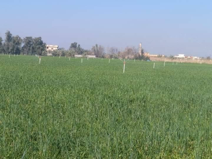 السلام عليكم مرشات للبيع معاها ماكينه المكان بغداد التاجي


**إذا كنت صاحب هذا الإعلان وتريد حذفه لأي سبب، رجاءا أرسل رسالة إلى الدعم الفني**