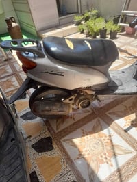 عصفوري • ناعم • سلف عاطل