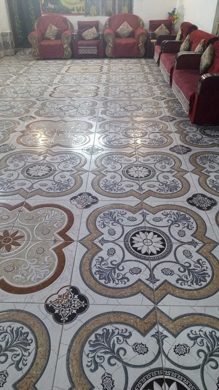 تخم البيع 7 قطع وياهن مكانستهن ع الشحن تسحب تراب بيع مستعجل السعر مناسب نضيفات مابيهن شي السعر خاص المكاني كرمة بني سعيد كرمة حلو الاصيبح


**إذا كنت صاحب هذا الإعلان وتريد حذفه لأي سبب، رجاءا أرسل رسالة إلى الدعم الفني**