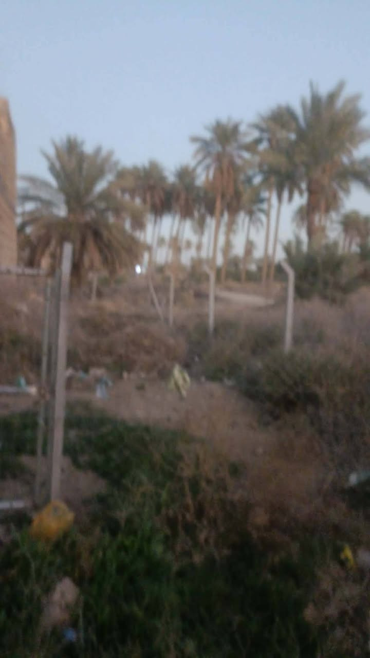 قطعه للبيع مساحه 100متر طابو زراعي سند 25 تحويل مباشر واجها 5 ونص نزال 18ونص الموقع حله كريطعه قرب بيت الوزير السعر 17 مع المجال البسيط كافه الخدمات شارع 5 متر للاتصال
***********
