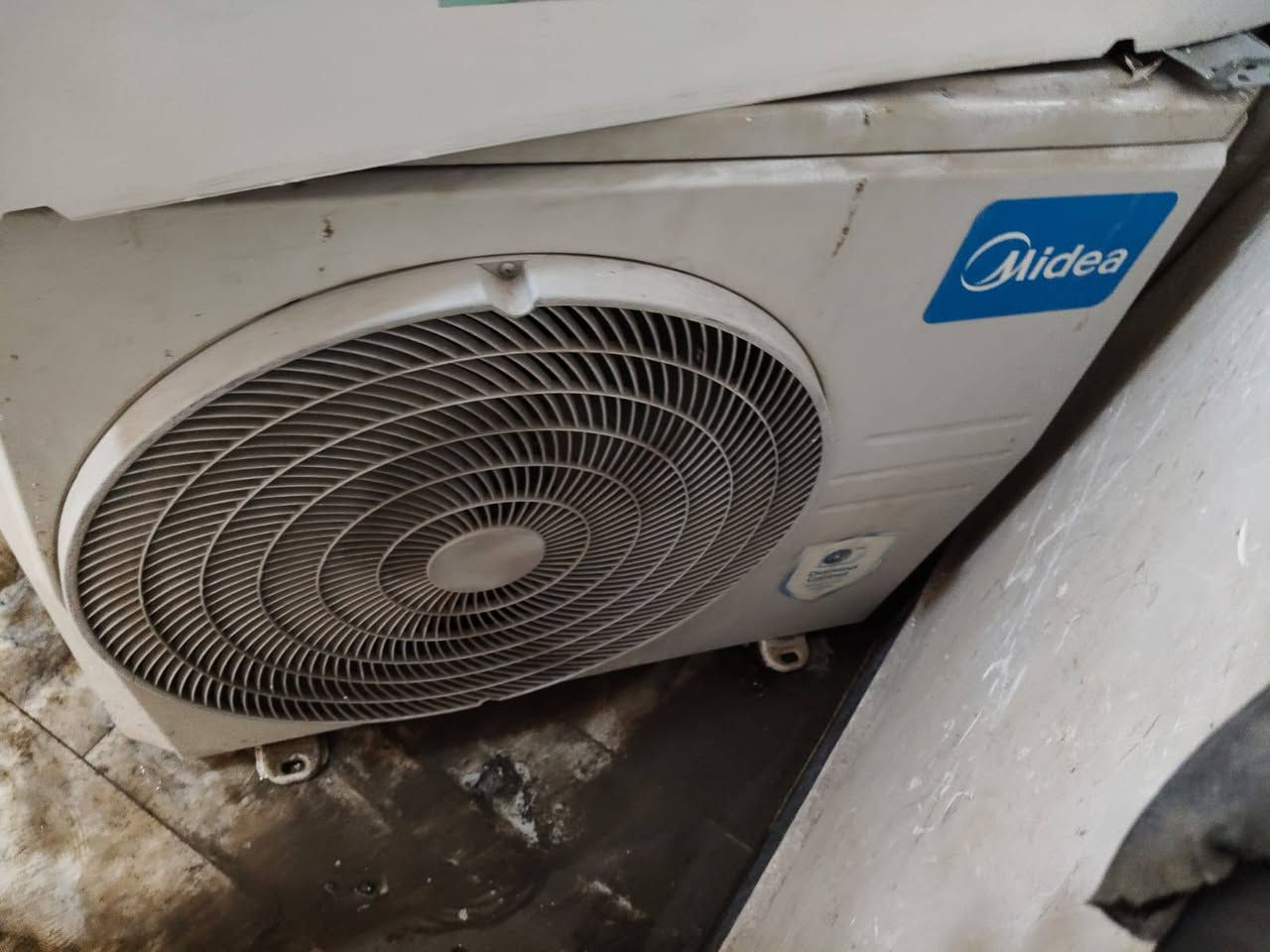 سبلت طن ونص ميديا نضيف ما داخل اي تصليح الغاز R22 كامل الملحقات موديل 2019 سعر 250 وبي مجال


**إذا كنت صاحب هذا الإعلان وتريد حذفه لأي سبب، رجاءا أرسل رسالة إلى الدعم الفني**