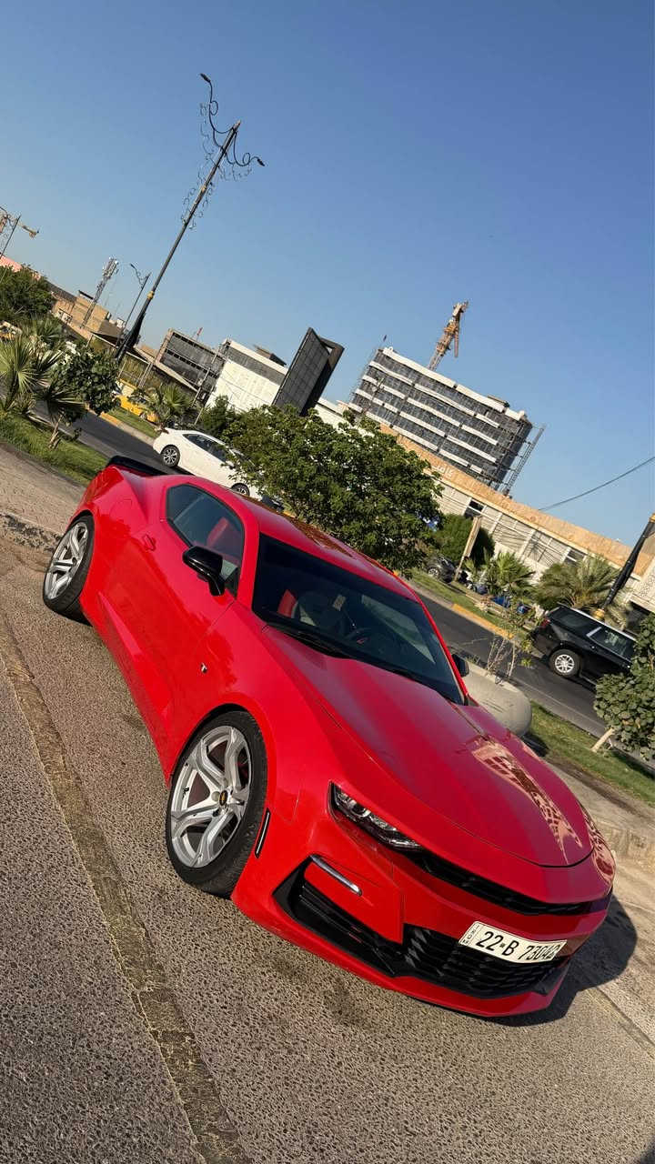 🔥 كمارو RS 2019 للبيع 

✅ محرك 3.6 V6
✅ قشفترات تبديل على الستيرن
✅ تحكم كامل من المقود
✅ مقاعد كهربائية
✅ شاشة تدعم Apple CarPlay و Android Auto
✅ وضعيات قيادة (Sport / Tour)
✅ نظام Traction Control
✅ اكزوست رياضي 

حالة السيارة:
✔️ صبغ حزام فقط
عتة بسيطة بالنمرة الثالثة 

💰 السعر: 125 ورقة 

📍 الموقع: كربلاء – التعاون
📞 *********** كربلاء, العراق
