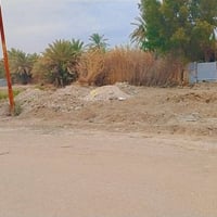 طويريج على الجدول • ٢٠٠م • مقابل حي الجمعية