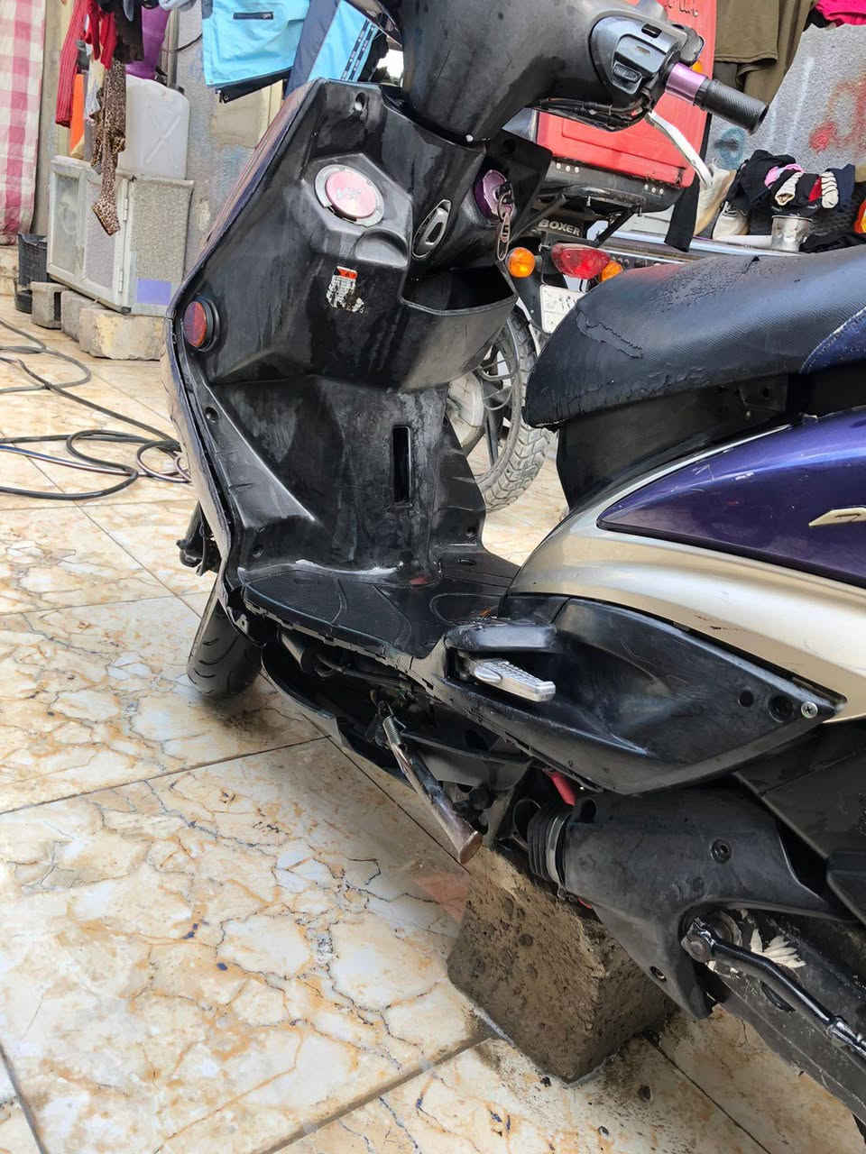 سكنس فحل للبيع الاستفسار والاتصال على هذا الرقم *********** الاتصال واتساب والسعر 700
