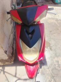 سكنس • بطة • تجفيت