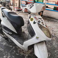 سكنس فحل • ٢٠٠٨ • زنون رياضي