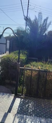 حي الجوادين • ٦٠٠م • بيت فاضي