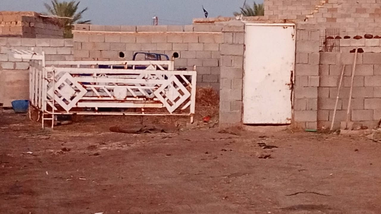 السلام عليكم محجر كيه بنكوو نثيه للبيع ***********
