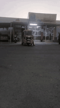 هورنات بوش مؤسسه مال ابو سليمان بعدهن جداد المكان الشهداء السيديه07729...