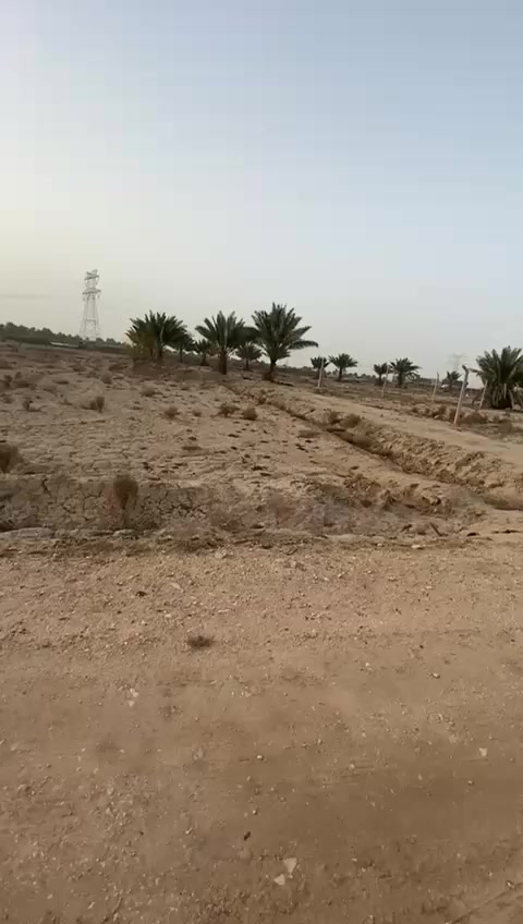 السلام عليكم
قطعة أرض مميزة للبيع خلف جامعة بابل - منطقة ربع سعود - حي السجاد
المساحة دونم (2320) متر
الواجهة حاليا 37.12 متر
النزّال 74 متر
تبعد 28 متر عن مخطط شارع 100
في الصور المرفقة صورة من دائرة الطرق والجسور توضح بعد موقع الأرض عن مرتسم شارع 100
(بعد تنفيذ الشارع تصبح الواجهة 74 والنزّال 37.12) وكما موضح بالفيديو
للإستفسار الاتصال:
***********
***********
