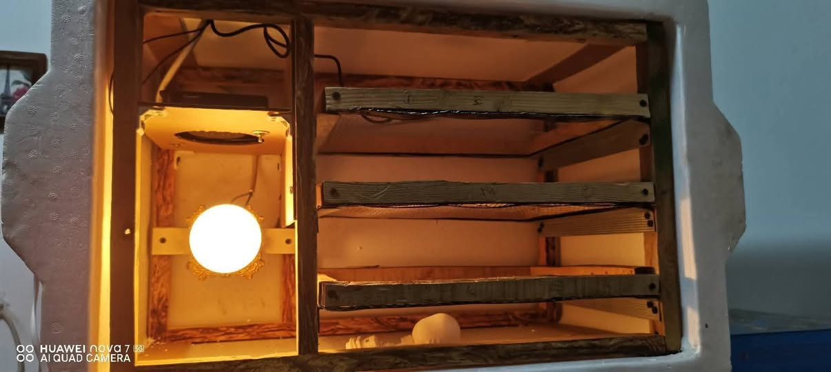 ألسلام عليكم متاح فقاسه فلين كبيره جديد شوفت عينك مكاني تكريت للاستفسار ***********
