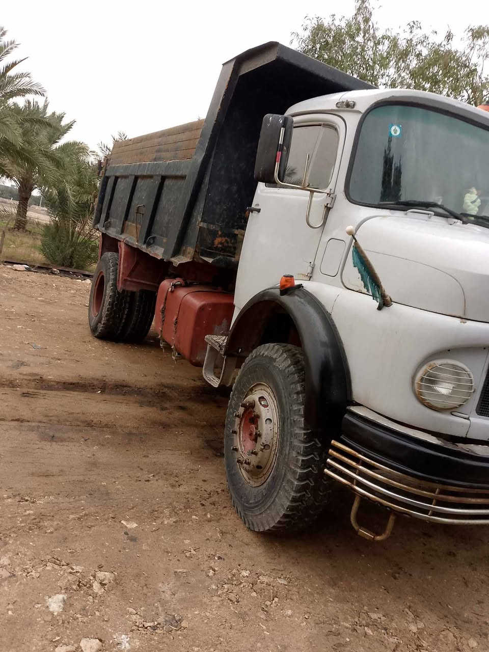 السلام عليكم ابو ردين للبيع مديل 80 جفالي  مكفوله كفاله عامه بلاديه  مكان سماوه 
للاستفسار ***********
