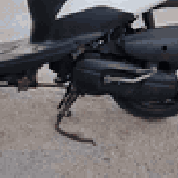 البيع  و كيل مكفول من كلشي   سعر 550 07814503001