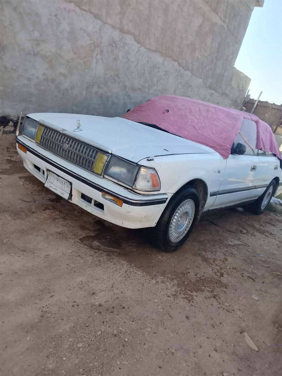 السلام عليكم شباب مراوس او بيع حسب القناعه اغاني ديوانيه‏‪***********‬‏
