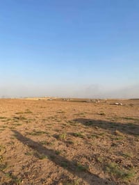 قوسيات • دوانم حسب الطلب • سند ٢٥ زراعي