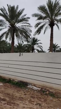 كربلاء المقدسة • منتجع • دونم