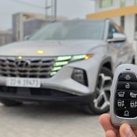 توكسان لمتيد • ٢٠٢٤ • تبديل وصبغ