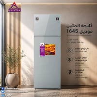 المتين ١٦٤٥ • دي فروست • ضمان سنتين