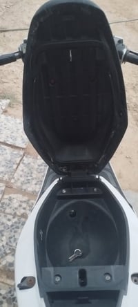 ماكس مضلع • ياباني • ستوته
