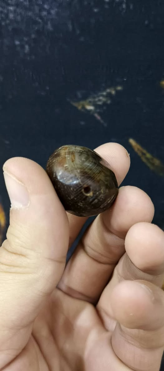 جزعة قديمة شرط مشروطة مال ملاكط كاع مشكولة السعر مع توصيل ٢٥ ألف قفل فقط بيع بدون عملة


**إذا كنت صاحب هذا الإعلان وتريد حذفه لأي سبب، رجاءا أرسل رسالة إلى الدعم الفني**