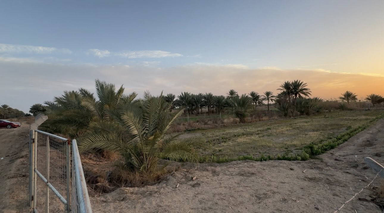 🌴دونم للبيع طابو زراعي سند25
تحويل مباشر باسم المشتري 

خلف جامعة بابل 🏫

وجه الدونم 33 متر 

يصلح سكن ويصلح مزرعه خاصه 🌴🌳🌲🪾

الارض بيها نخل وتين وبيها مي سقي 

وماء اساله وكهرباء 🌴⚡️

مسيج بلكامل بي ار سي 

للاستفسار اكثر 

اتصل ***********
