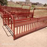محجلات • سعر الواحد • للبيع